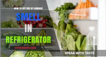 Freshen Up Your Fridge: A Guide to Banishing Cabbage Odor