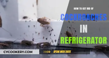 Effective Ways to Eliminate Cockroaches from Your Refrigerator Fast