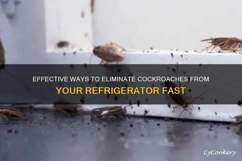 how to get rid of cockroaches in refrigerator