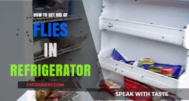 Effective Ways to Eliminate Flies from Your Refrigerator