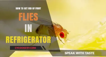 Effective Ways to Eliminate Fruit Flies from Your Refrigerator Fast