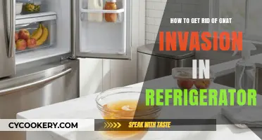 Bye-Bye Gnats: Ultimate Guide to a Pest-Free Fridge