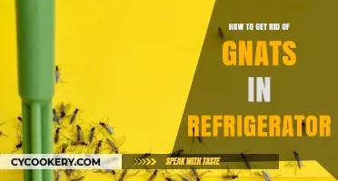 Effective Ways to Eliminate Gnats from Your Refrigerator Fast