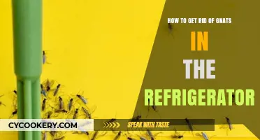 Effective Ways to Eliminate Gnats from Your Refrigerator Fast