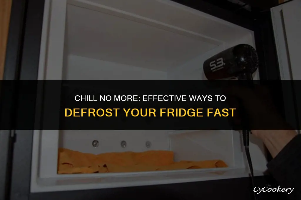 how to get rid of ice in refrigerator