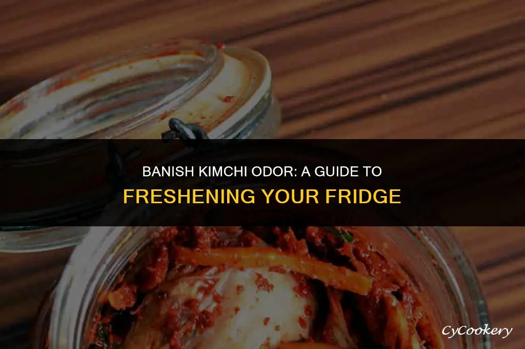 how to get rid of kimchi smell in refrigerator