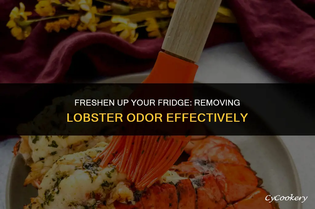 how to get rid of lobster smell in refrigerator