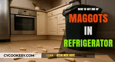 Effective Ways to Eliminate Maggots from Your Refrigerator Fast