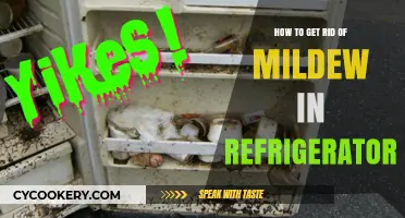Freshen Up Your Fridge: A Simple Guide to Mildew Removal