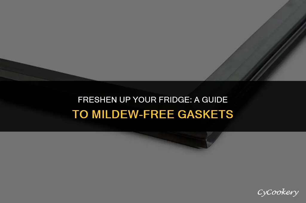how to get rid of mildew on refrigerator gaskets