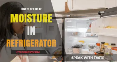 Effective Tips to Eliminate Moisture in Your Refrigerator Quickly