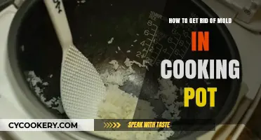 Eradicating Mold from Cooking Pots: A Step-by-Step Guide