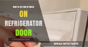 Effective Ways to Eliminate Mold from Your Refrigerator Door