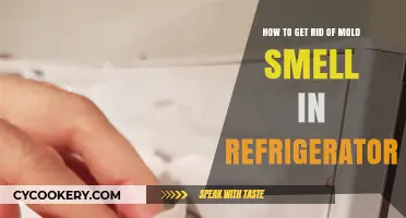 Eliminate Mold Odor: Freshen Your Fridge with These Simple Steps