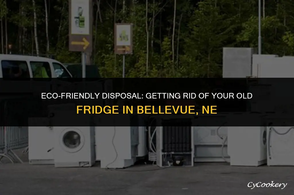how to get rid of old refrigerator bellevue ne