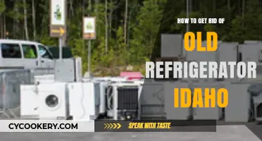 Eco-Friendly Disposal: How to Get Rid of Your Old Refrigerator in Idaho