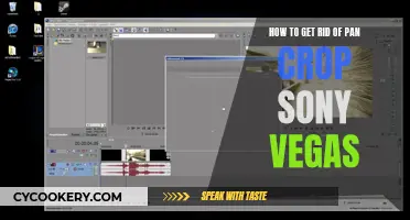 Eliminating Pan Crop in Sony Vegas: Quick Guide