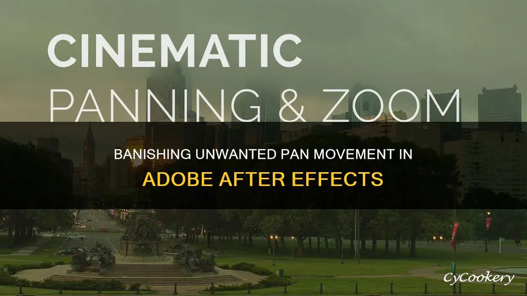 how to get rid of pan movement adobe after effects