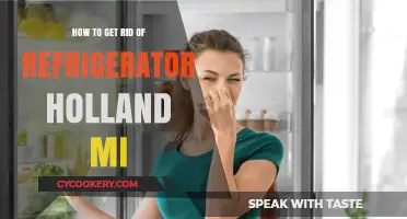 Effective Ways to Eliminate Refrigerator Odors in Holland, MI