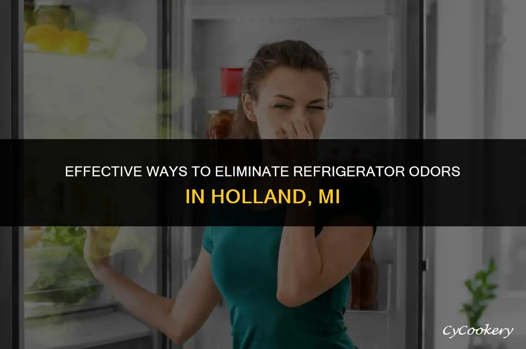 how to get rid of refrigerator holland mi