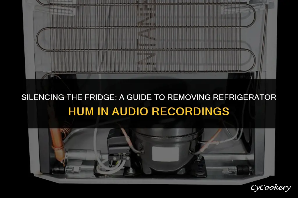 how to get rid of refrigerator hum in audio