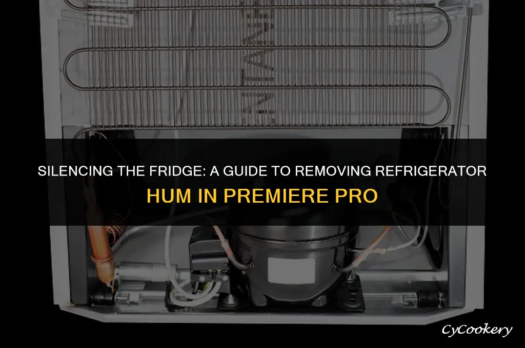 how to get rid of refrigerator hum in premiere