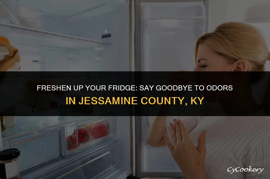 how to get rid of refrigerator jessamine county ky