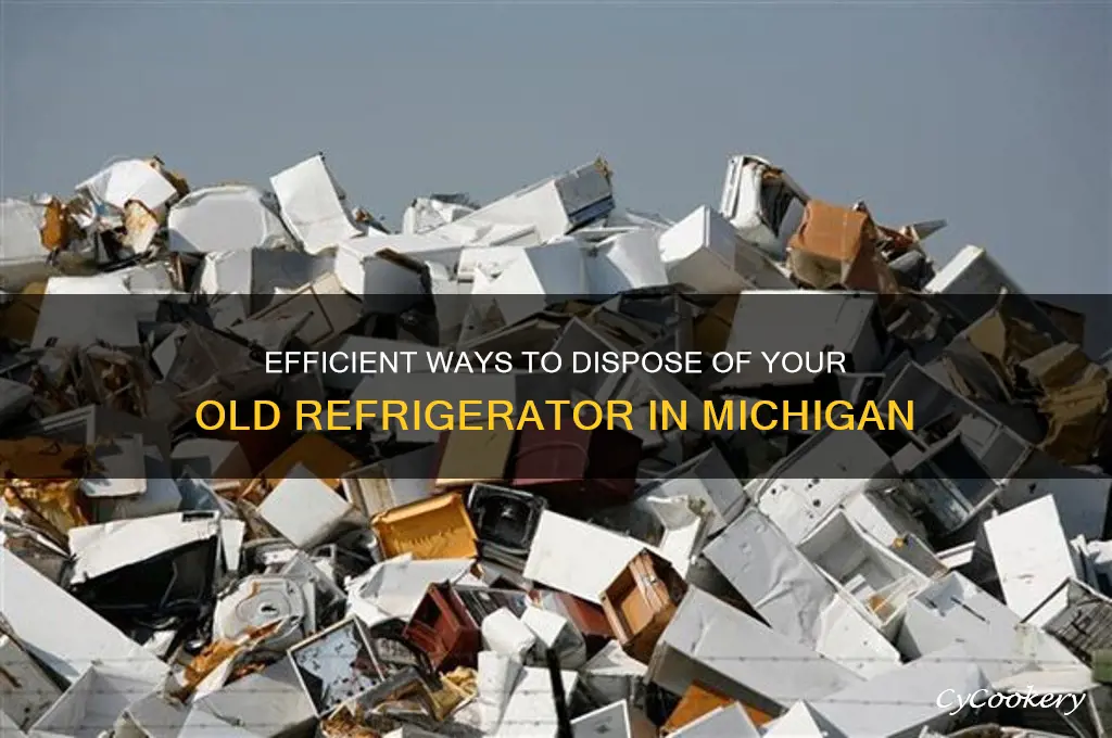 how to get rid of refrigerator michigan