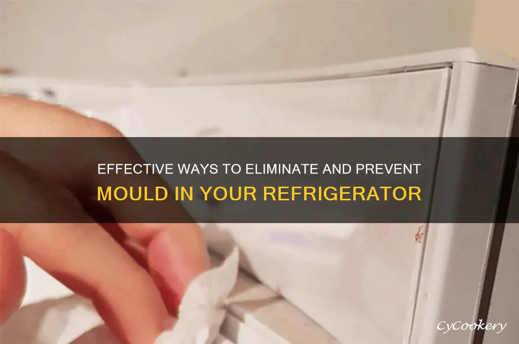 how to get rid of refrigerator mould