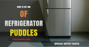 Quick Fixes to Eliminate Annoying Refrigerator Puddles for Good