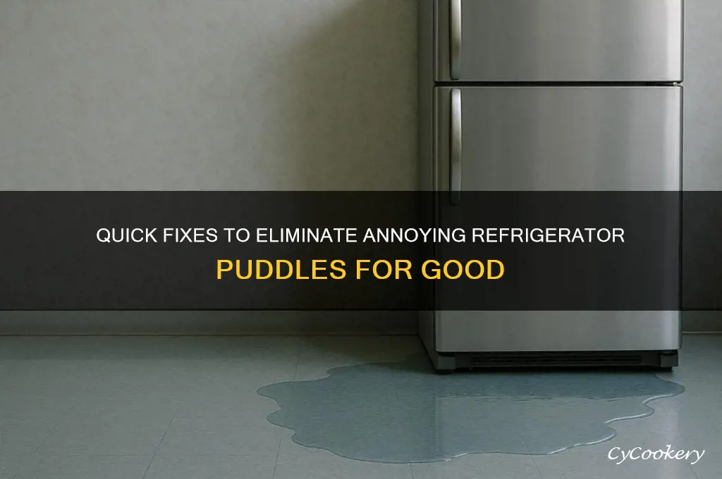 how to get rid of refrigerator puddles