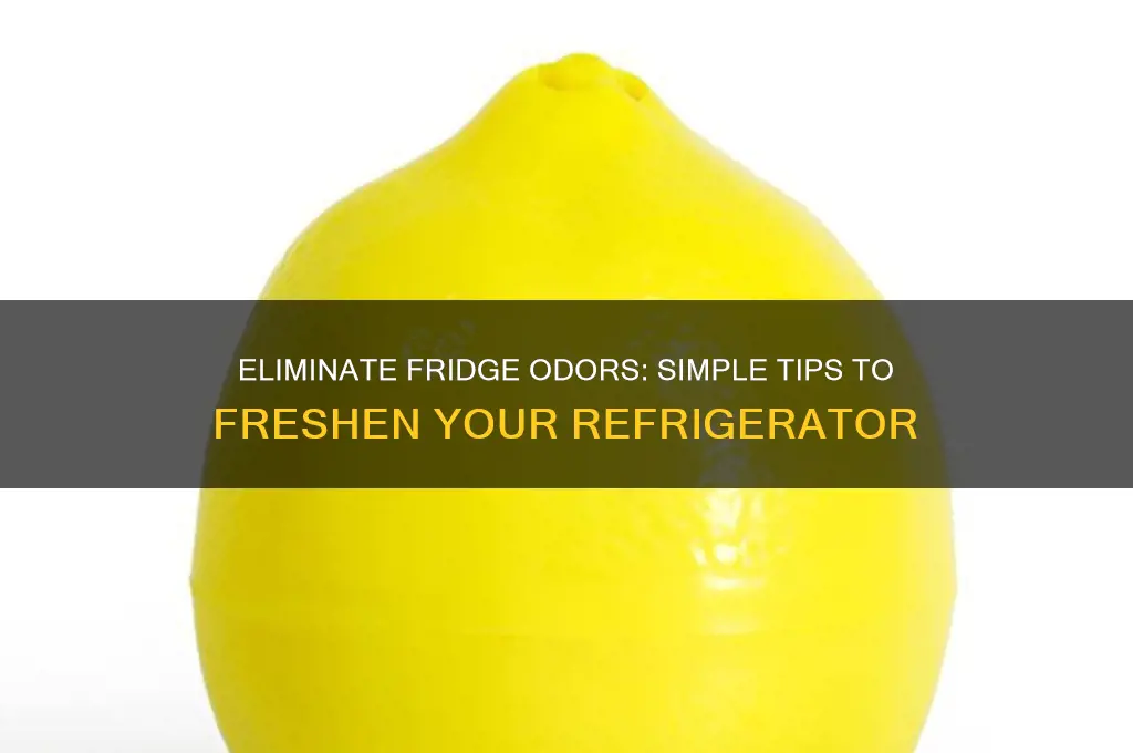 how to get rid of refrigerator taste