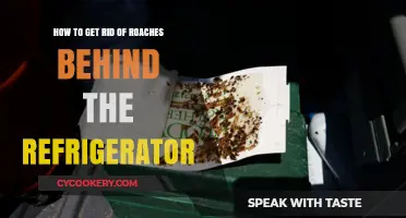 Effective Ways to Eliminate Roaches from Behind Your Fridge