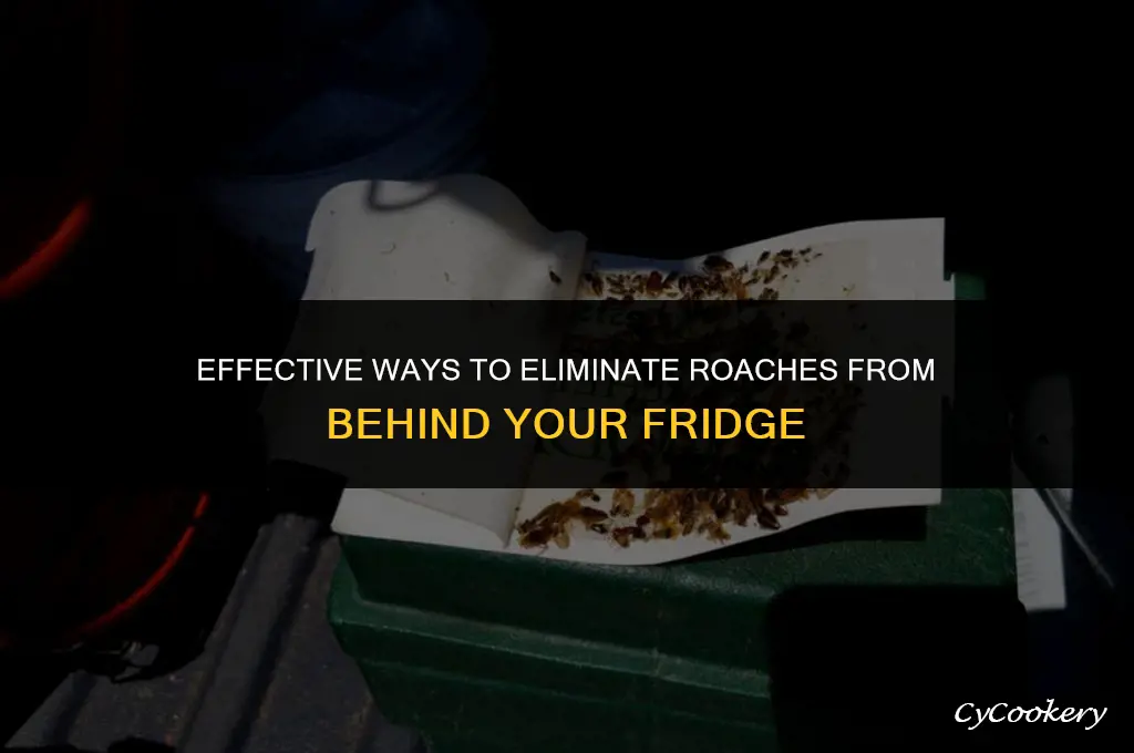 how to get rid of roaches behind the refrigerator