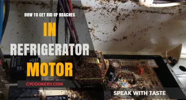 Effective Ways to Eliminate Roaches from Your Refrigerator Motor