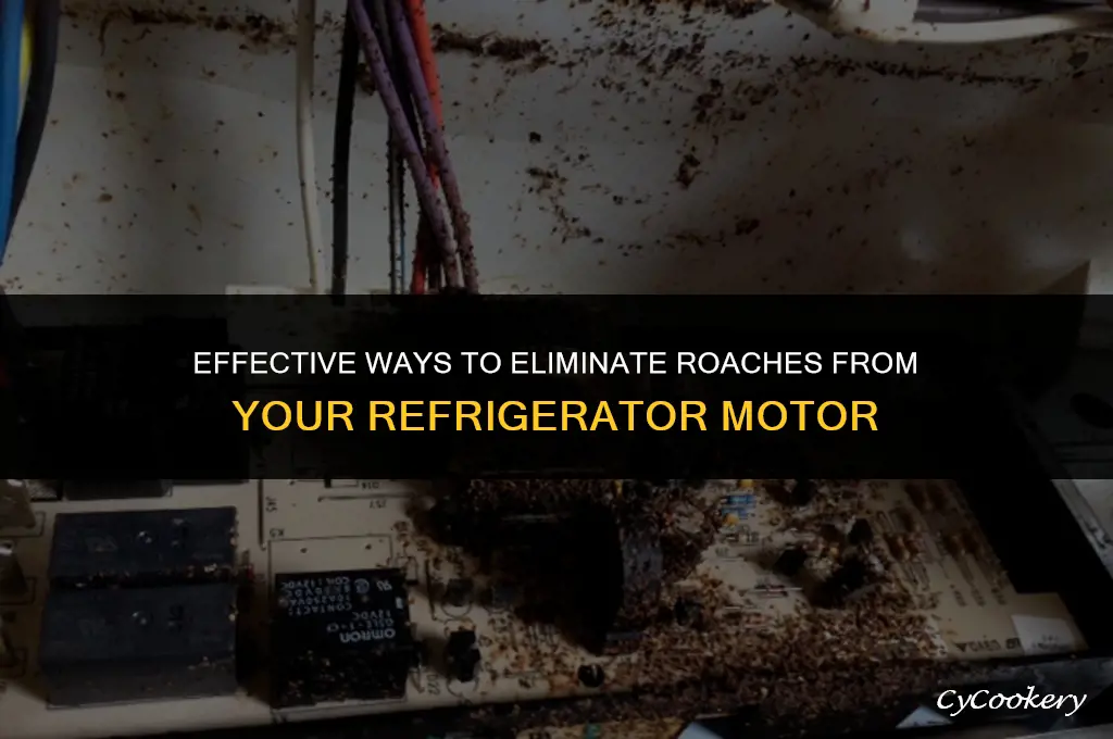 how to get rid of roaches in refrigerator motor