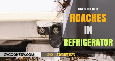 Effective Ways to Eliminate Roaches from Your Refrigerator Fast