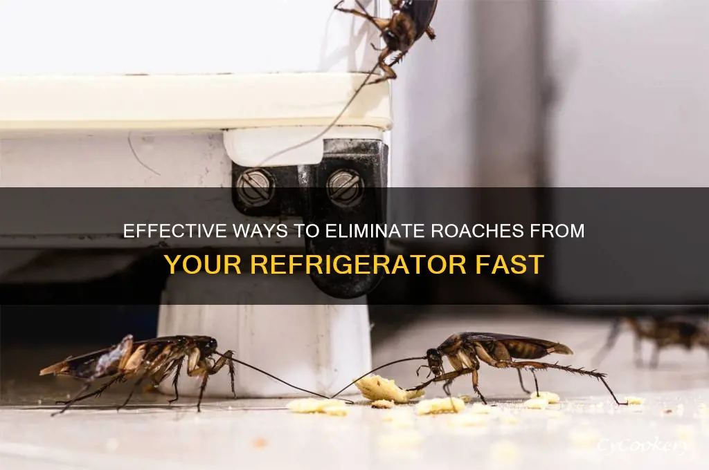 how to get rid of roaches in refrigerator