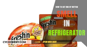 Freshen Up Your Fridge: A Guide to Eliminating Rotten Odors