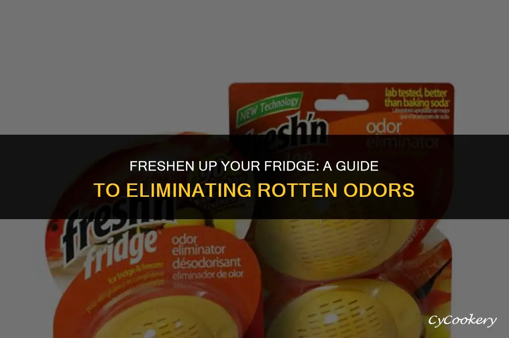 how to get rid of rotten smell in refrigerator