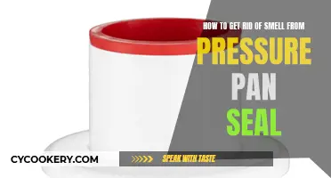 Eliminate Stinky Pressure Pan Seal Odor: Quick Tips