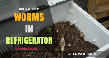 Effective Ways to Eliminate Worms from Your Refrigerator