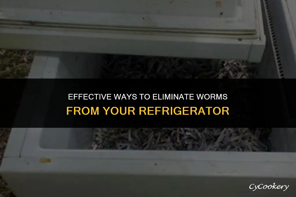how to get rid of worms in refrigerator