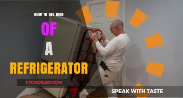 Efficient Ways to Dispose of Your Old Refrigerator Responsibly