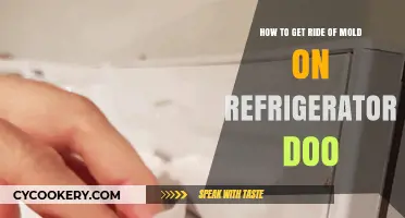 Effective Ways to Eliminate Mold from Your Refrigerator Door