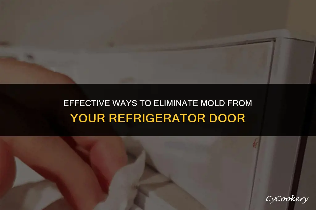 how to get ride of mold on refrigerator doo