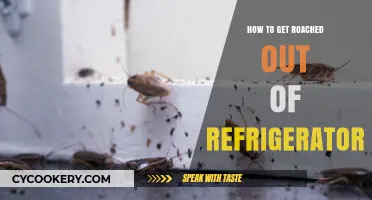 Effective Ways to Eliminate Roaches from Your Refrigerator Permanently