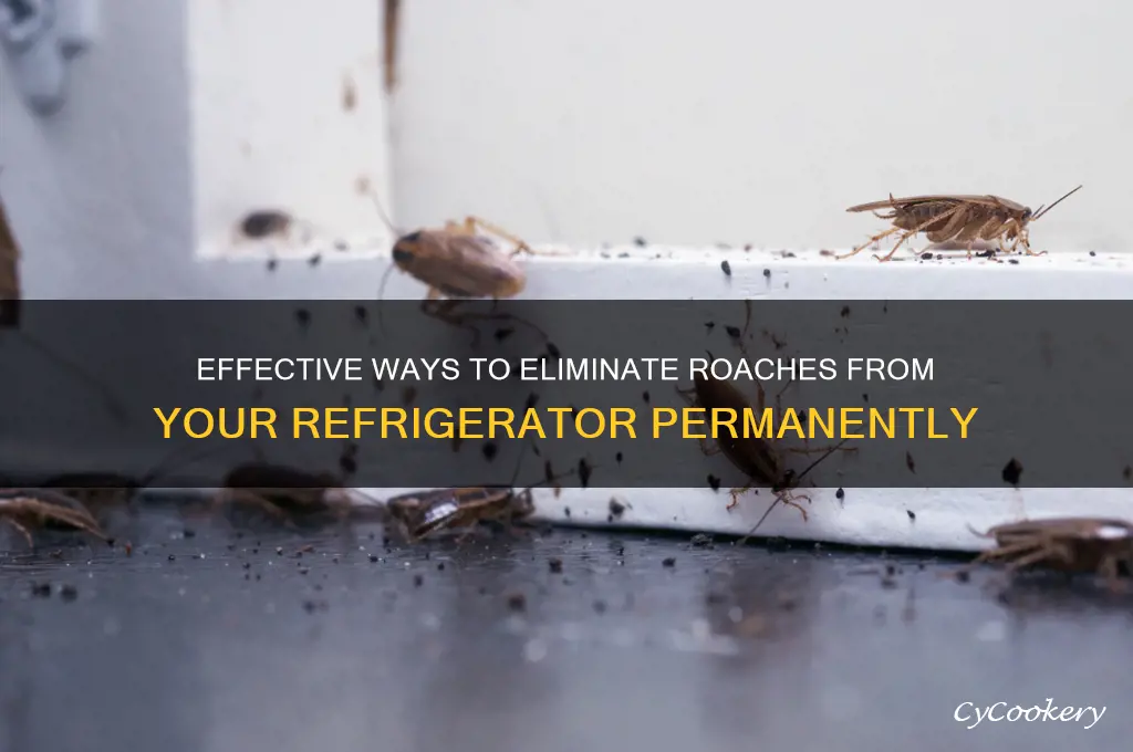 how to get roached out of refrigerator