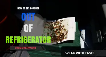 Effective Ways to Eliminate Roaches from Your Refrigerator Quickly