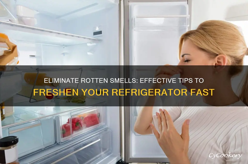 how to get rotten smell out of refrigerator